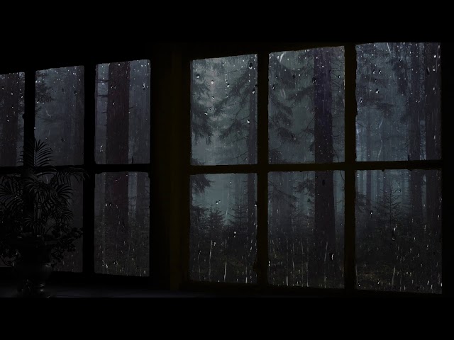 Rain On Window with Thunder Sounds - Rain in Forest at Night - 10 Hours