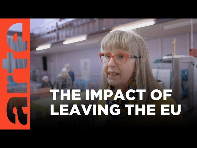 Post-Brexit Blues | ARTE.tv Documentary