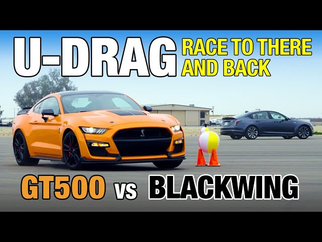 U-DRAGS: Ford Mustang Shelby GT500 vs. Cadillac CT5-V Blackwing | 0-60, Top Speed, U-Drag & More