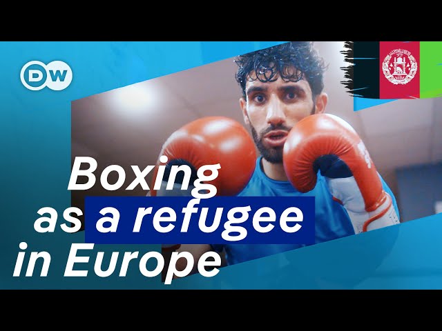 The first Afghan world champion? From refugee to boxing pro