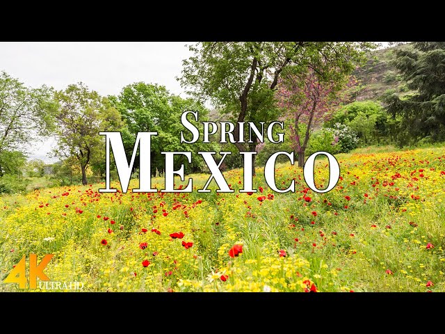 Spring Mexico 4K Ultra HD • Stunning Footage Mexico, Scenic Relaxation Film with Calming Music.