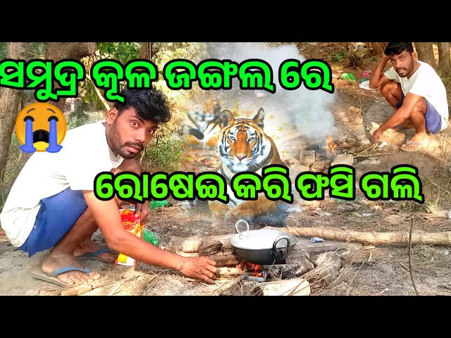 Sea କୂଳ ଜଙ୍ଗଲ ରେ ରୋଷେଇ କରି ଫସି ଗଲି 😭/Odia Food Vlog / Sukanta Mistri Lifestyle /Odia Vlog