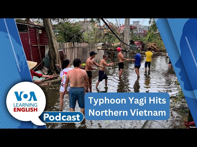 Typhoon Yagi, Ultraprocessed foods, Anna’s Usual and Unusual Days