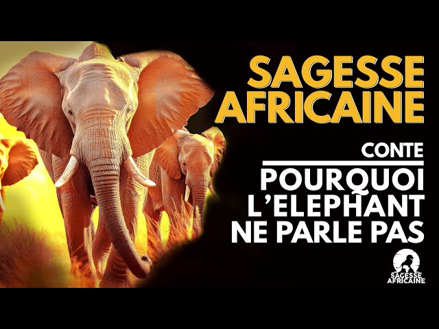 Conte Africain : Pourquoi l'éléphant ne parle pas