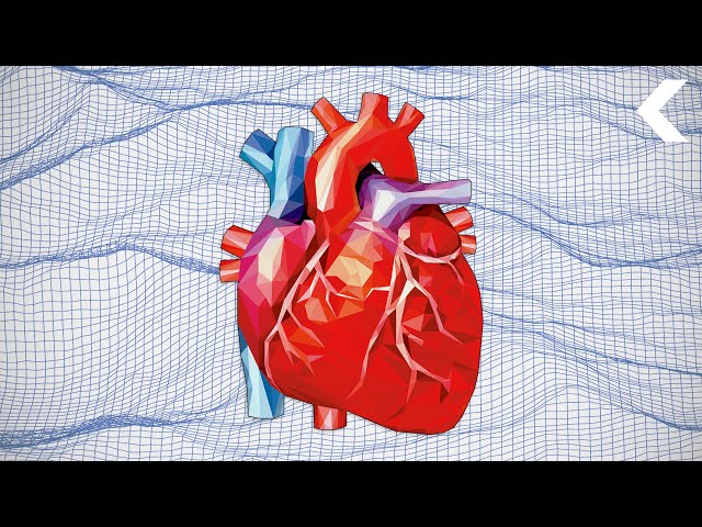 Revolutionizing Heart Surgery With Virtual Reality