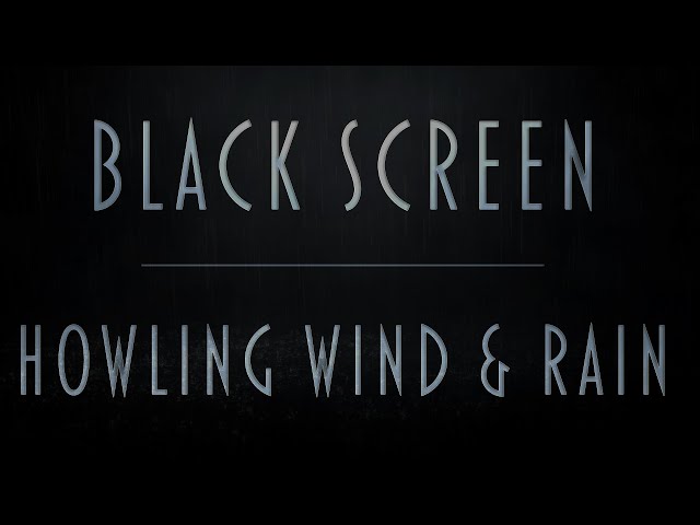 Howling Wind & Rain Sounds | Pure Black Screen For Uninterrupted Sleep | Fall asleep fast | 8Hrs