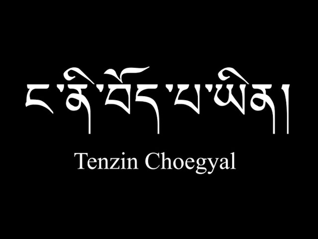 ང་ནི་བོད་པ་ཡིན། བསྟན་འཛིན་ཆོས་རྒྱལ།