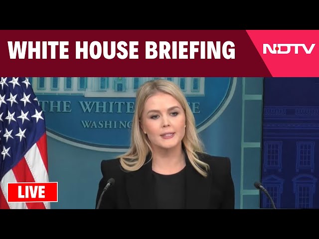 White House LIVE | White House Briefing By Karoline Leavitt | USA | America | Trump | USAID | Gaza