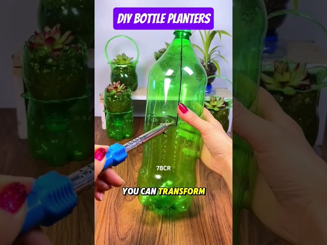 DIY Bottle Planters #diy #diycrafts #shortvideo #shorts #short #viralvideo #shortsviral