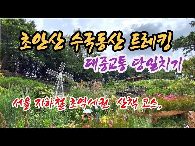 대중교통 당일치기 국내 혼자여행 | 숲길 트레킹 | 맨발걷기 황톳길 | 초안산 수국동산 | 서울 지하철 초역세권, 수국 꽃구경도 함께 할 수 있는 산책 코스