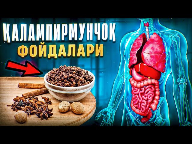 Қалампирмунчоқ фойдалари | Доктор Гулбаҳор