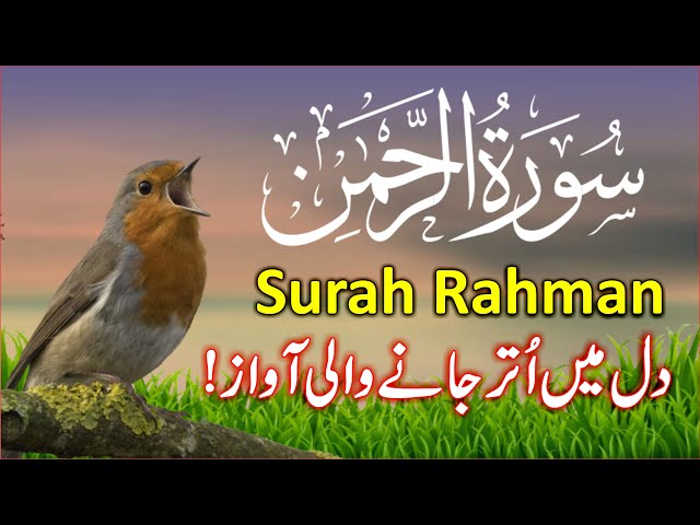 Surah Rahman Beautiful Recitation | Surah AR Rehman Tilawat | سورۃ رحمن | Trimedia