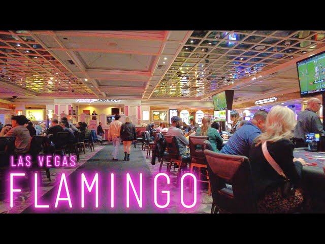 Is FLAMINGO Casino Las Vegas Still a Hot Spot in 2025?