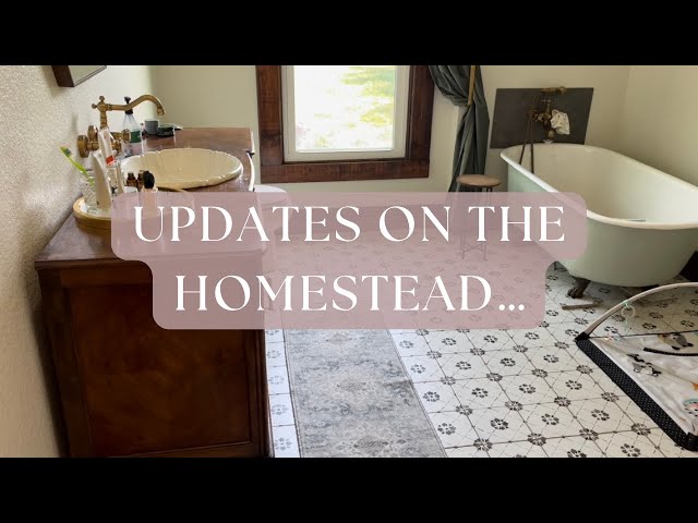 Updates On The Homestead…