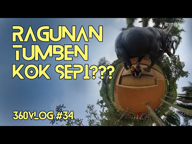 Wisata Taman Margasatwa Ragunan (Video 360°)