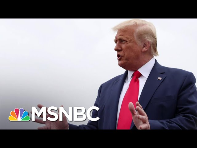 Trump Doubles Down On Wild Flight Of 'Thugs' Conspiracy Theory | The 11th Hour | MSNBC