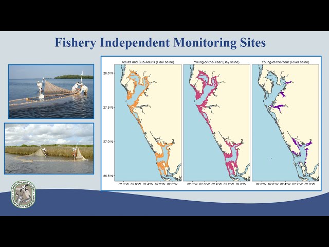 2021 Red Tide SW Florida Snook Redfish Spotted Seatrout workshop presentation