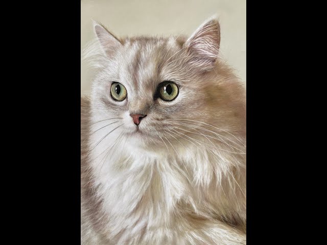 Hyper-realistic pastel drawing of a Cat