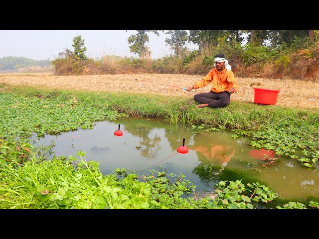 Fishing Video🎣🐠 || Talented boy fishing with hooks in paddy field canal using two fishing rod's 🐠😮