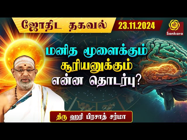 மனித மூளைக்கும் சூரியனுக்கும் என்ன தொடர்பு? | Indhanaal 23 11 2024