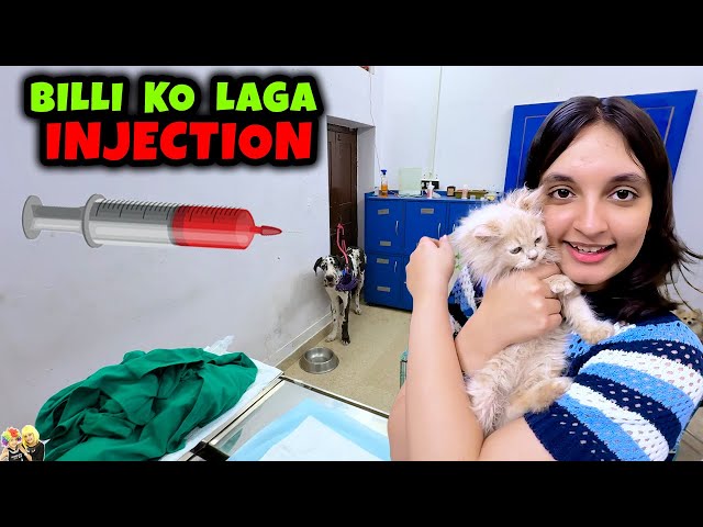 BILLI KO LAGA INJECTION | Cookie ka vaccination  | Aayu and Pihu Show