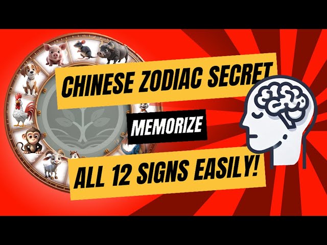 The 12 Chinese Zodiac Signs and the Great Animal Race (Chinese New Year)