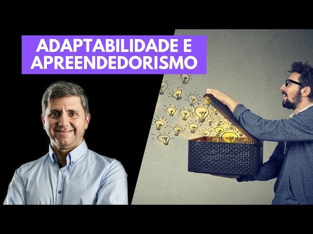 APREENDEDORISMO E ADAPTABILIDADE: Características do Profissional do Futuro