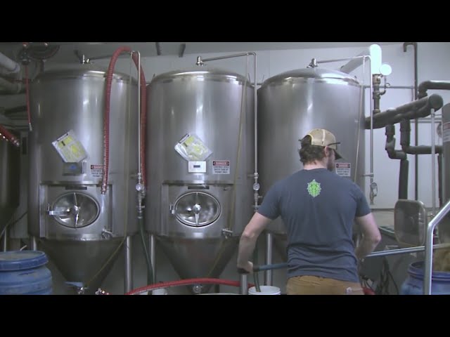 Colorado lost 41 breweries in 2024, beer sales decline