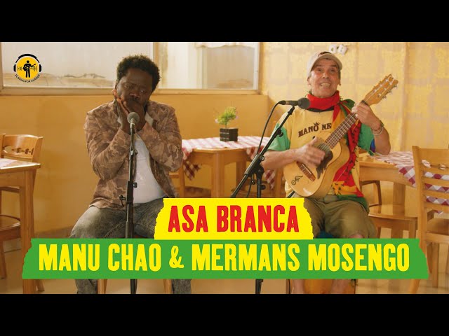 Manu Chao and Mermans Mosengo - Asa Branca (Playing For Change) [Official Live Video]