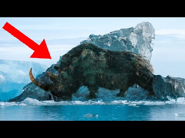 11 Hallazgos de Animales Encontrados Bajo el HIELO 😧