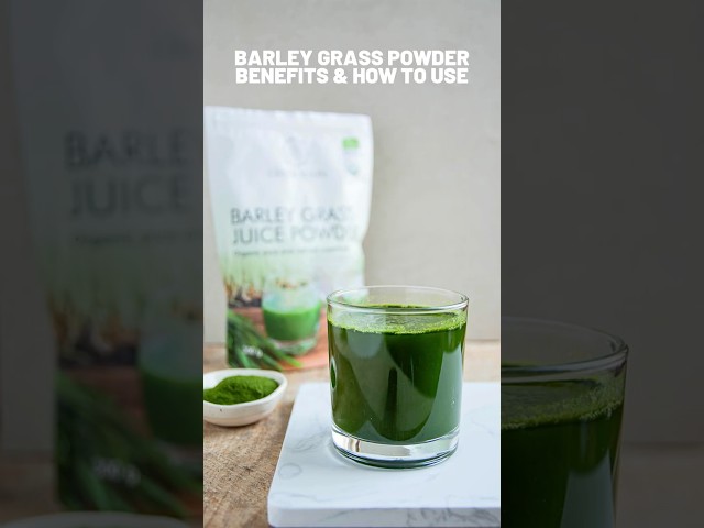 Barley Grass Powder Benefits and How to Use