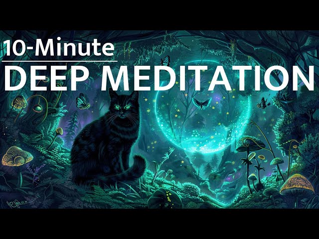 10 Minute Deep Meditation | 432Hz Healing Frequency × Forest Quickly Restore Inner Peace Relax Mind