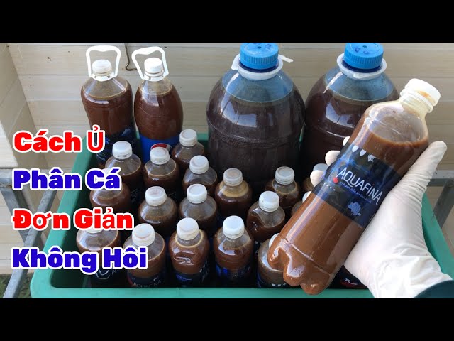 Cách Ủ Phân Cá Đơn Giản ,Không Hôi