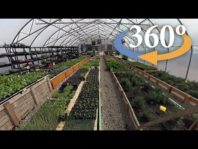 A fresh look at Fresh City Farms (360 Video)