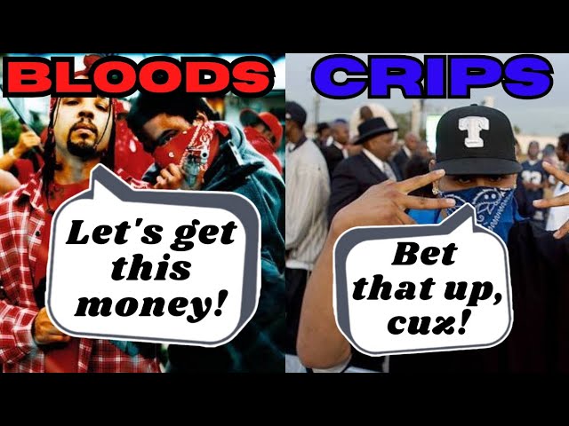 Bloods & Crips In Hip-Hop