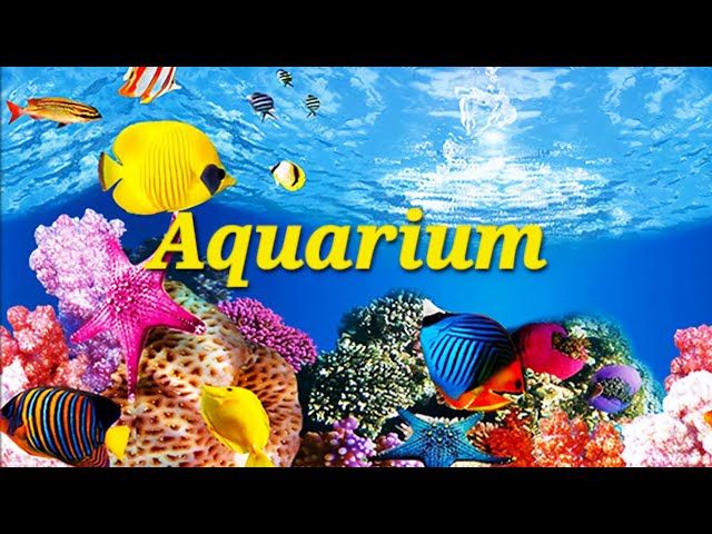 ✨ Relaxing Aquarium Meditation Music | Peaceful Underwater Ambience for Deep Relaxation & Sleep 🌊🐠