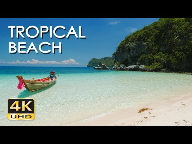 4K Tropical Beach - Relaxing Sea/ Ocean Wave Sounds & Ultra HD Nature Video - Meditate/ Yoga/ Sleep