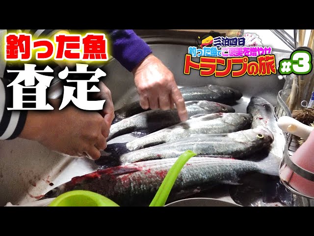 釣った魚で大金獲得！？予想外以上の展開に…