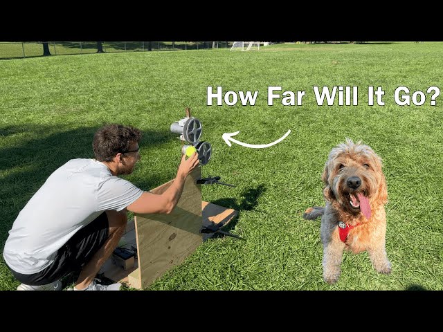 I Built a Tennis Ball Launcher for My Dog!