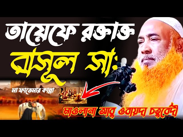 Maulana Abu Obaida Chaturvedi Abu Obaida Bangla Jalsa Abu Obaida video Jalsa Abu Obaida Chaturvedi