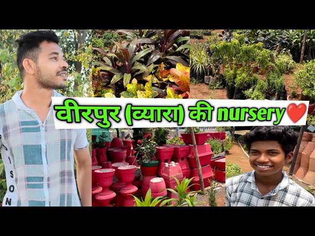 व्यारा से plants की shopping की#rahulgamitvlogs #gamit#vlog#songadh#kumkuva#vyara#nursery