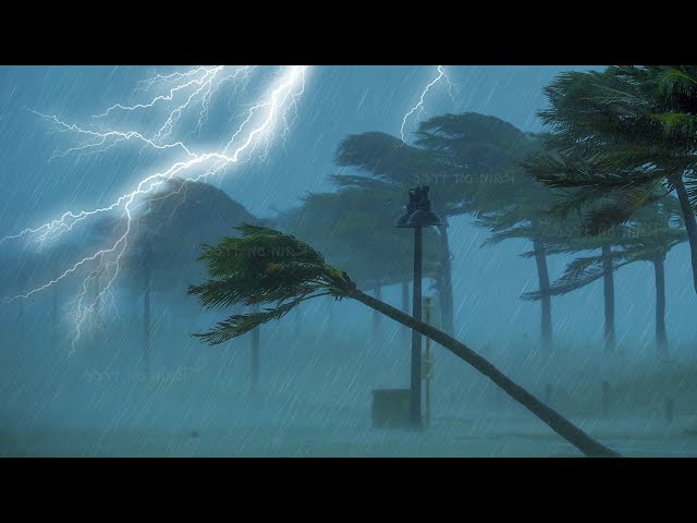 Beat Insomnia with Heavy Rainstorm and Thunder Sounds - Torrential Rain Sounds for Sleeping, Healing