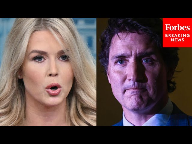 Karoline Leavitt Issues Direct Warning To Canada's Justin Trudeau Over His 'Outlandish Comments'