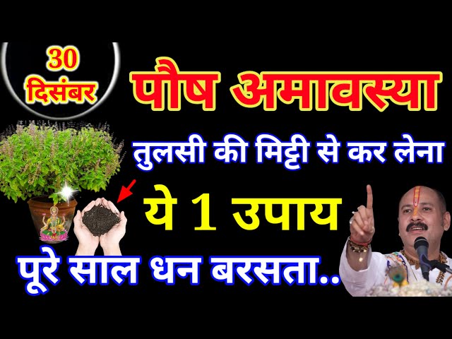 30 दिसंबर पौष अमावस्या के दिन तुलसी के पौधे में बांध देना ये 1 गुप्त इतना पैसा.#धन_प्राप्ति_के_उपाय​