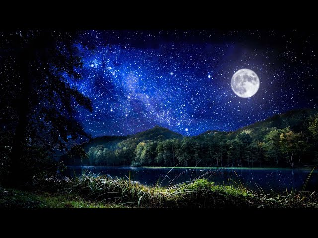 Deep Sleep Music, Night Ambient Sounds And Beautiful Piano Music, Cricket, Swamp Sounds at Night