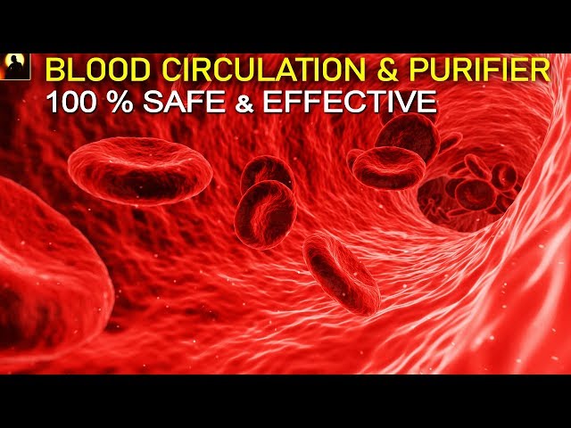 90 Mins Blood Circulation, Purification & Cleansing Subliminal Frequency | Pure Binaural Beats #SG12