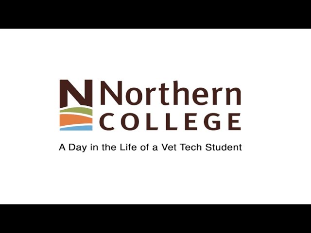 A Day in the Life of a Vet Tech Student - 360 Degree Video | Northern College