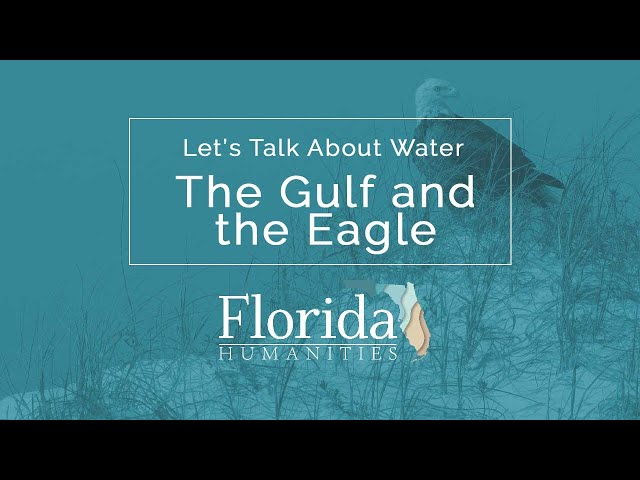 The Gulf and The Eagle