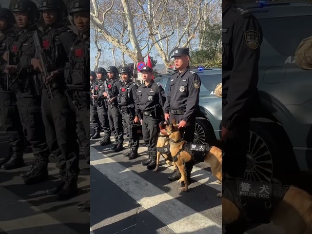 好酷 一排排的武警战士 和特警一起守护群众安全 欢迎来旅游 #