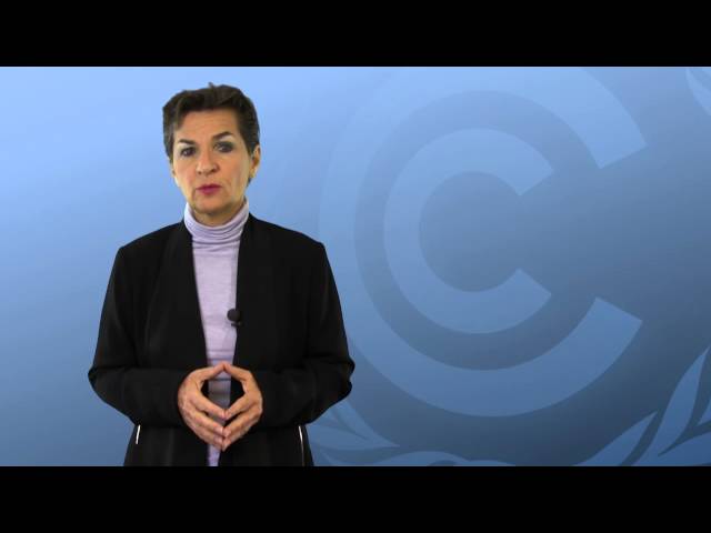 UNFCCC chief Christina Figueres adresses Cop21 meeting in New York